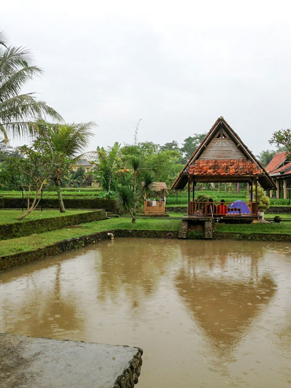 Desa Sawah  Restoran dan Villa Cari Makan Aja